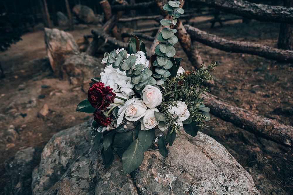 Adventurous Elopement